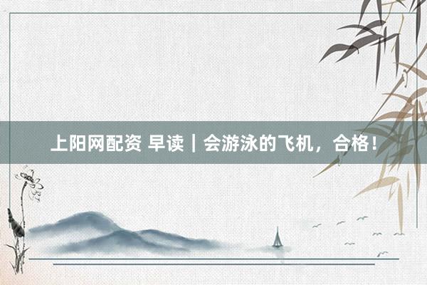 上阳网配资 早读｜会游泳的飞机，合格！