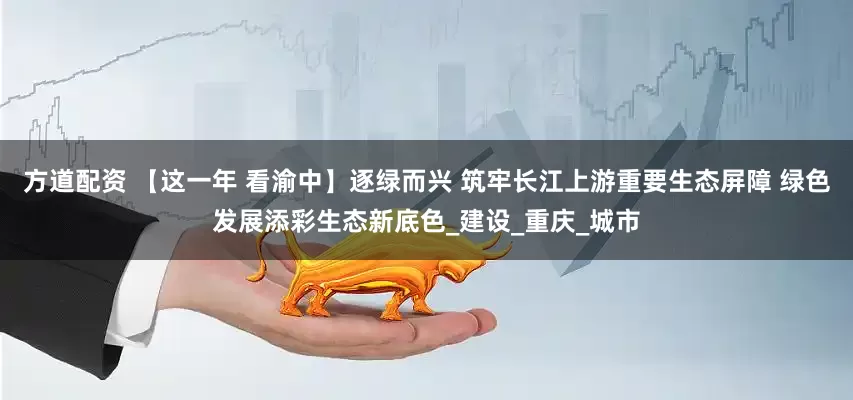 方道配资 【这一年 看渝中】逐绿而兴 筑牢长江上游重要生态屏障 绿色发展添彩生态新底色_建设_重庆_城市