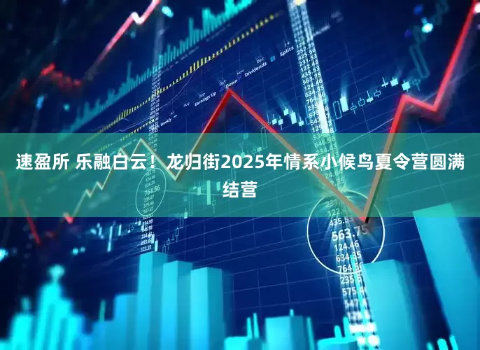 速盈所 乐融白云！龙归街2025年情系小候鸟夏令营圆满结营