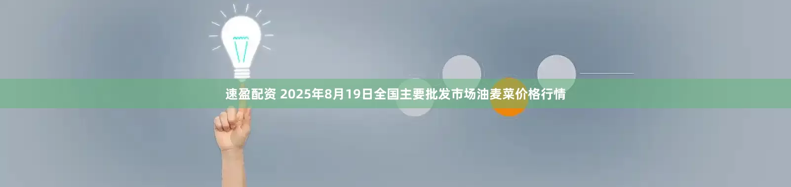 速盈配资 2025年8月19日全国主要批发市场油麦菜价格行情