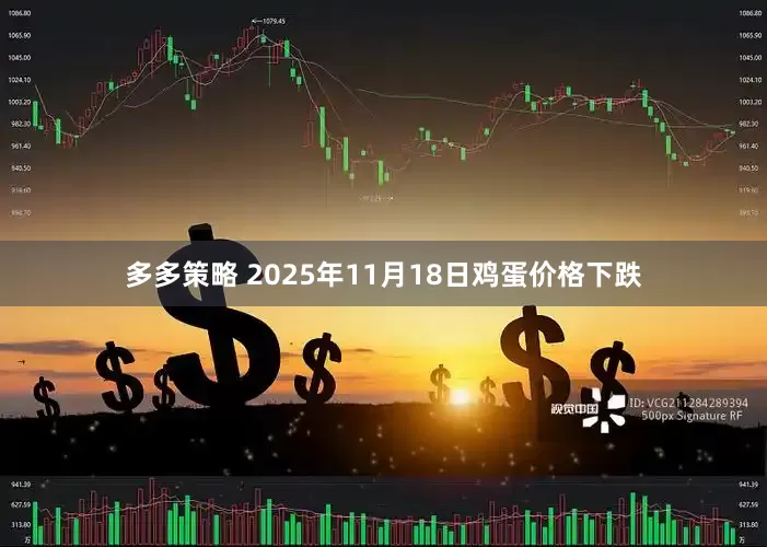 多多策略 2025年11月18日鸡蛋价格下跌